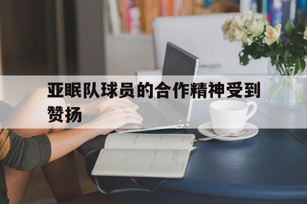 关于亚眠队球员的合作精神受到赞扬的信息